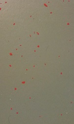 Aanbieding epoxy coating vloer met chip rood